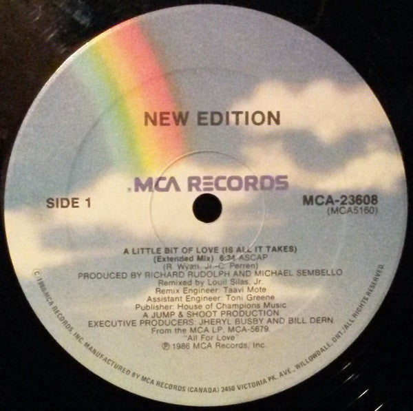 New Edition : A Little Bit Of Love (Is All It Takes) (12")