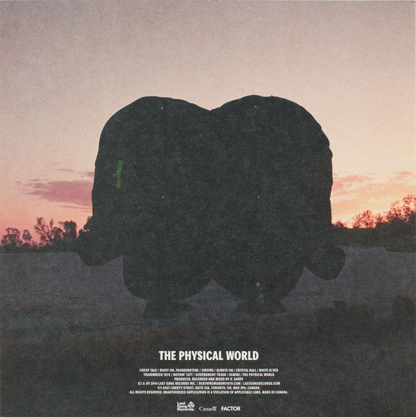 Death From Above 1979 : The Physical World (LP, Album)