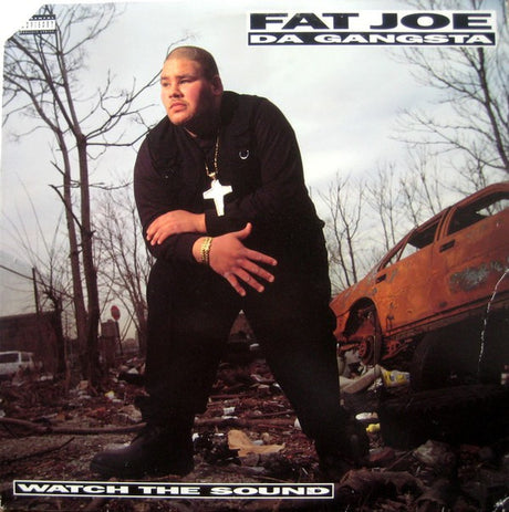 Fat Joe : Watch The Sound (12")