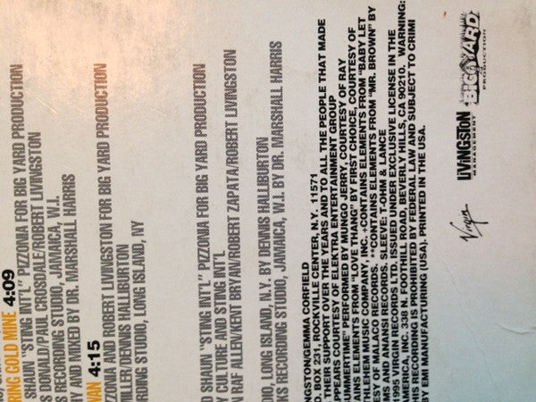 Shaggy : Boombastic (LP, Album)