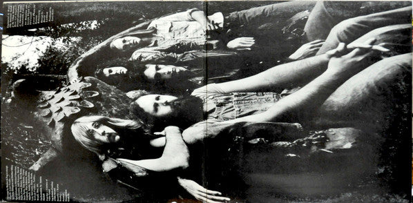 Steely Dan : Pretzel Logic (LP, Album, Dyn)