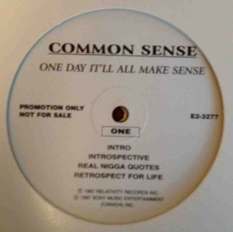 Common Sense* : One Day It'll All Make Sense (2xLP, Promo)