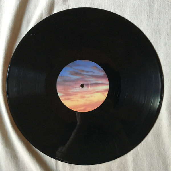 Passion Pit : Kindred (LP, Album)