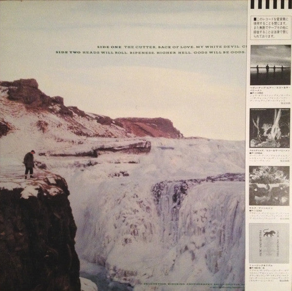 Echo & The Bunnymen : Porcupine (LP, Album)
