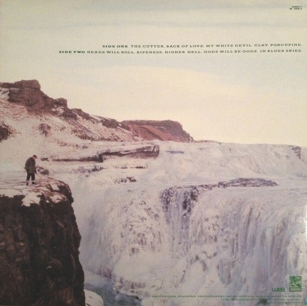 Echo & The Bunnymen : Porcupine (LP, Album)