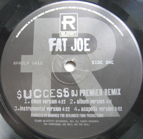 Fat Joe : Success (DJ Premier Remix) / Dedication (12", Promo)