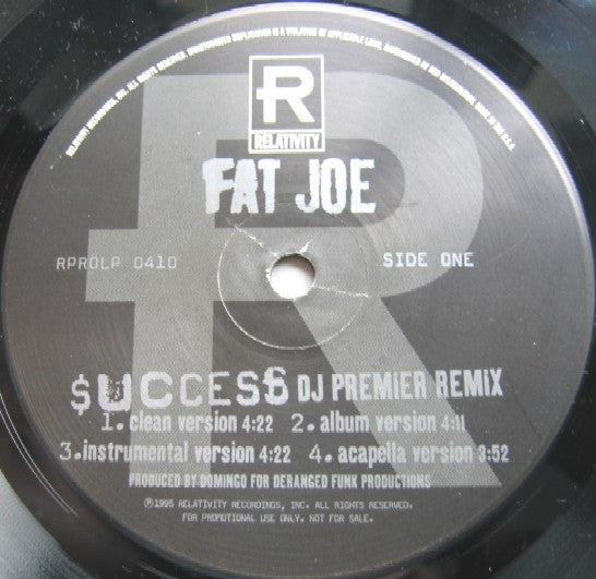 Fat Joe : Success (DJ Premier Remix) / Dedication (12", Promo)