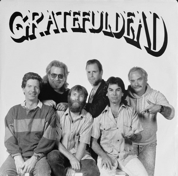 The Grateful Dead : Built To Last (LP, Album)