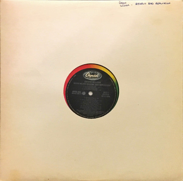 David Wilcox (2) : David Wilcox Reviews "Bad Reputation" (12", Promo, Smplr)