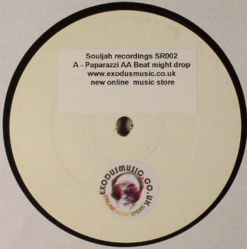 DJ Sketchy / Terry T* : Paparazzi / Beat Might Drop (12", W/Lbl)