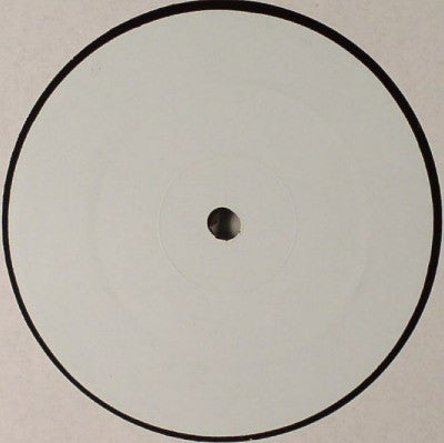 DJ Sketchy / Terry T* : Paparazzi / Beat Might Drop (12", W/Lbl)