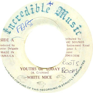 White Mice (2) : Youths Of Today (7")
