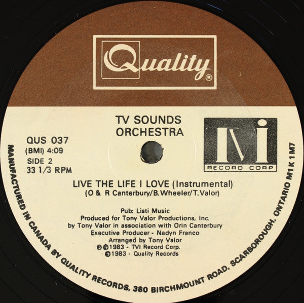Fantasy (2) / Tony Valor Sounds Orchestra : Live The Life I Love (12")
