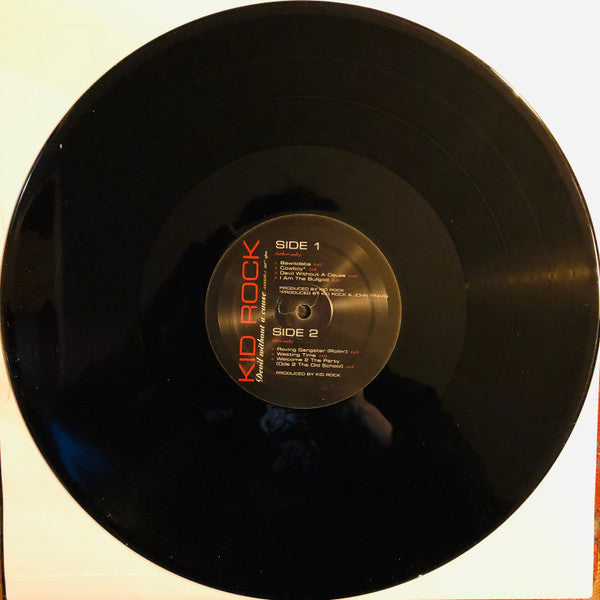 Kid Rock : Devil Without A Cause (2xLP, Album, RE)