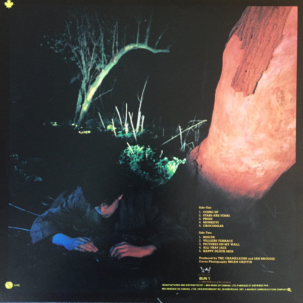 Echo & The Bunnymen : Crocodiles (LP, Album, Qua)