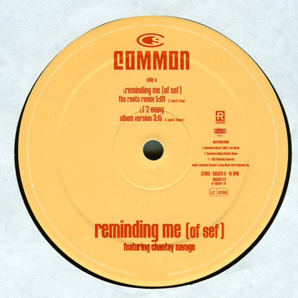Common Featuring Chantay Savage : Reminding Me (Of Sef) (12")