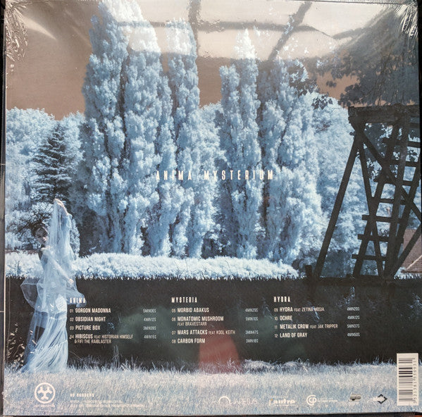 Yugen Blakrok : Anima Mysterium (LP + LP, S/Sided, Pic + Album, Ltd)
