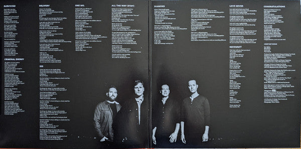 Jimmy Eat World : Surviving (LP, Album)