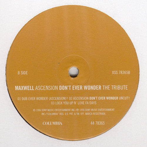 Maxwell : Ascension (Don't Ever Wonder) The Tribute (12")