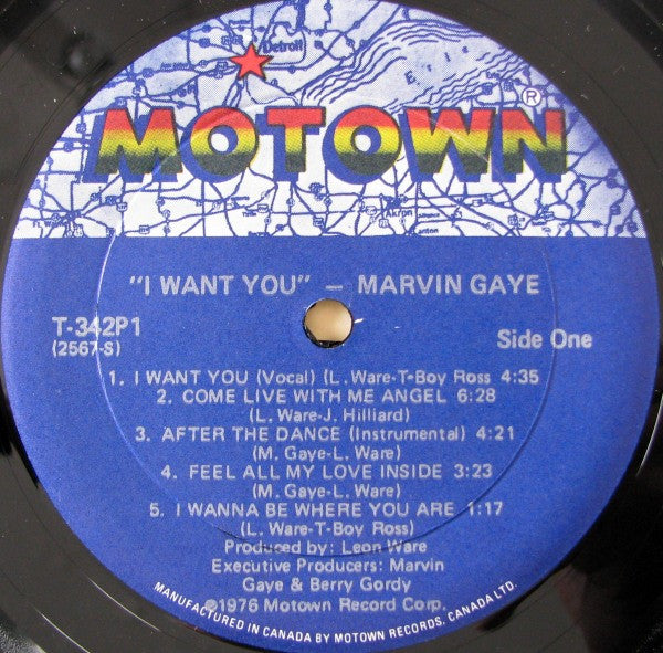 Marvin Gaye : I Want You (LP, Album)