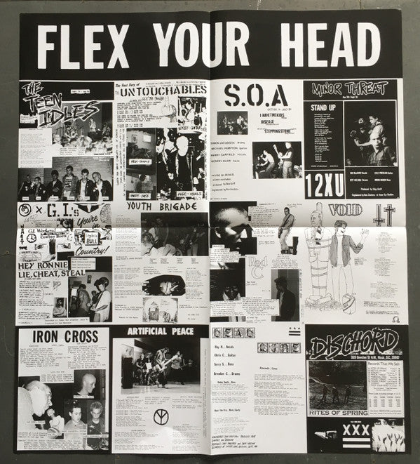 Various : Flex Your Head (LP, Comp, Ltd, RE, Fro)