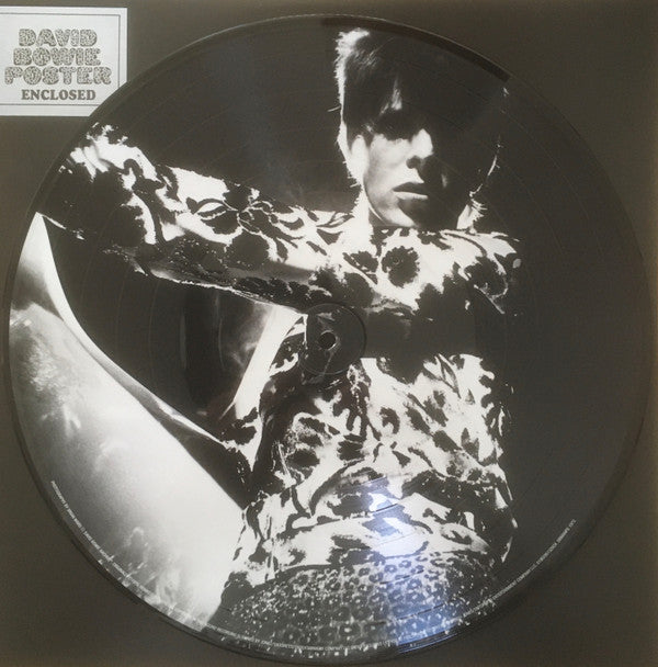 David Bowie : The Man Who Sold The World (LP, Album, Pic, RE)