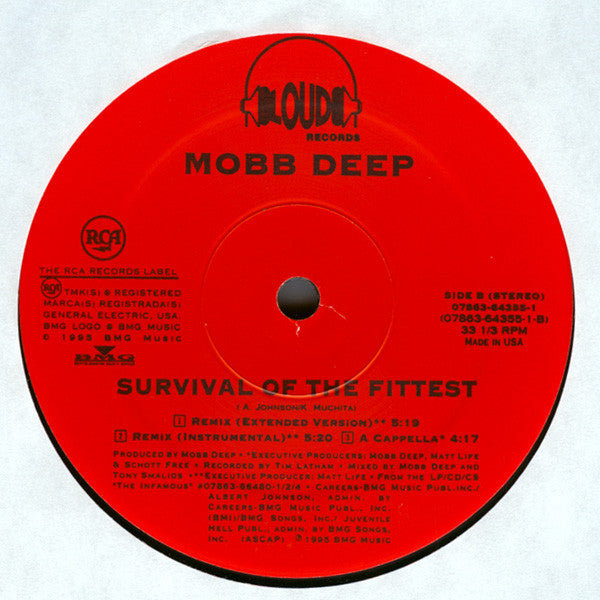 Mobb Deep : Survival Of The Fittest (12")