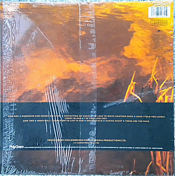 Van Morrison : Avalon Sunset (LP, Album)