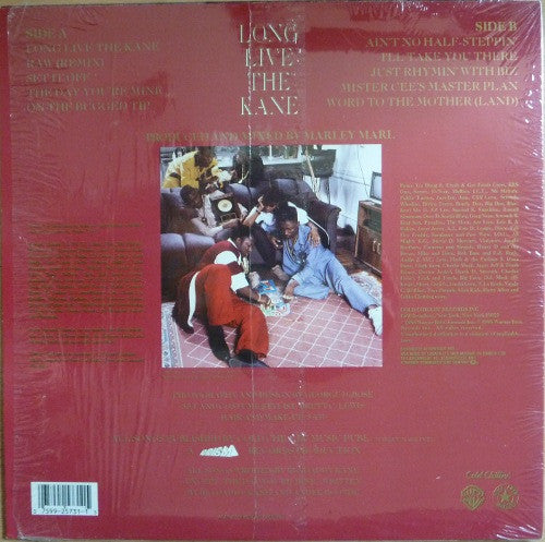 Big Daddy Kane : Long Live The Kane (LP, Album)