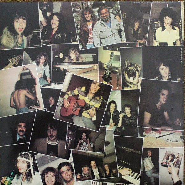 Peter Frampton : I'm In You (LP, Album)