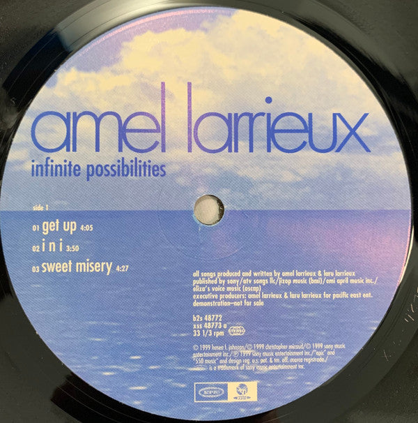 Amel Larrieux : Infinite Possibilities (2xLP, Album, Promo)