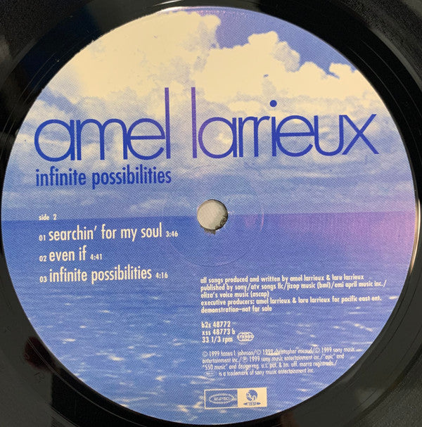 Amel Larrieux : Infinite Possibilities (2xLP, Album, Promo)