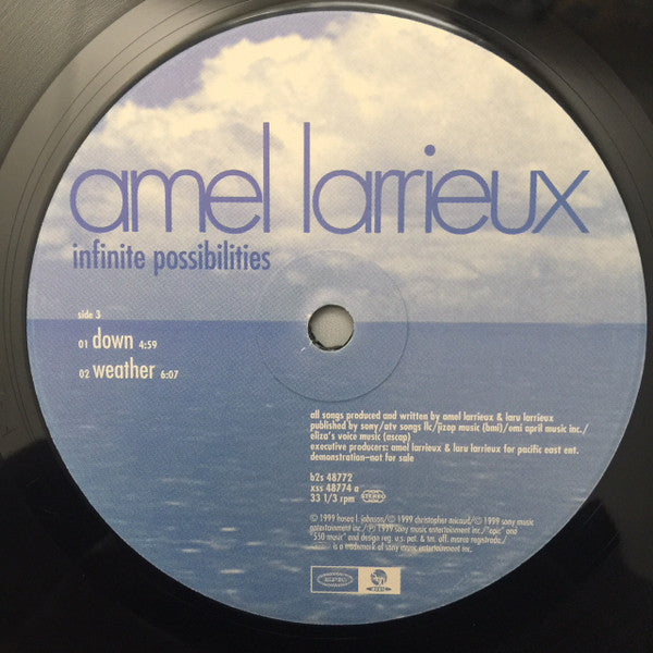 Amel Larrieux : Infinite Possibilities (2xLP, Album, Promo)