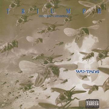 Wu-Tang Clan , Featuring Cappadonna : Triumph (12", Single)