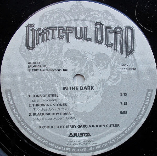 The Grateful Dead : In The Dark (LP, Album)