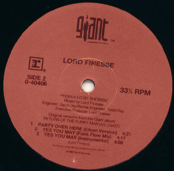 Lord Finesse : Party Over Here (12")
