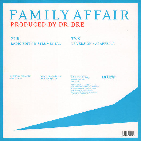 Mary J. Blige : Family Affair (12", Single)